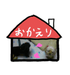 ななまろん（個別スタンプ：1）