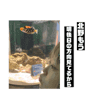 北野降臨（個別スタンプ：16）