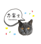 tadafujiさん（個別スタンプ：1）