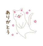 しろねこさん日常会話スタンプ（個別スタンプ：6）