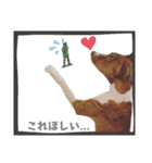 ⭐️Basenji Royの日常スタンプ⭐️（個別スタンプ：10）