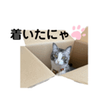 わさびのスタンプ2020（個別スタンプ：10）