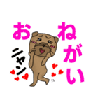 犬のシャーペイ ☆（個別スタンプ：23）