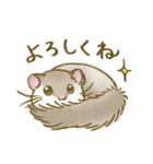 ゆるっとアフリカヤマネ（個別スタンプ：5）