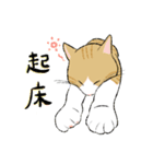 愛猫てんとぶん（個別スタンプ：3）