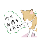 愛猫てんとぶん（個別スタンプ：7）