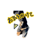 ミーアキャットのムギカイ（個別スタンプ：8）