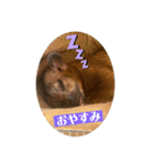 キンカジューの金太郎とかぐや姫（個別スタンプ：4）