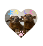 キンカジューの金太郎とかぐや姫（個別スタンプ：8）