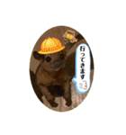 キンカジューの金太郎とかぐや姫（個別スタンプ：13）
