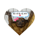 キンカジューの金太郎とかぐや姫（個別スタンプ：14）