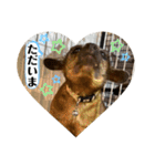 キンカジューの金太郎とかぐや姫（個別スタンプ：18）
