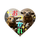 キンカジューの金太郎とかぐや姫（個別スタンプ：22）