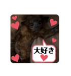キンカジューの金太郎とかぐや姫（個別スタンプ：26）