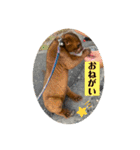キンカジューの金太郎とかぐや姫（個別スタンプ：28）