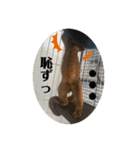 キンカジューの金太郎とかぐや姫（個別スタンプ：33）
