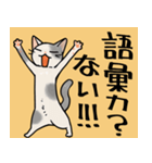 全力で反応してくれる猫スタンプ（個別スタンプ：19）