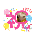 ハリネズミ  ハリー（個別スタンプ：15）