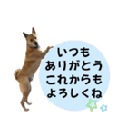 ずーきときなちゃんの声（個別スタンプ：2）