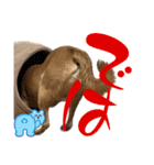 ずーきときなちゃんの声（個別スタンプ：6）