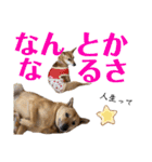 ずーきときなちゃんの声（個別スタンプ：15）