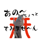 ずーきときなちゃんの声（個別スタンプ：17）