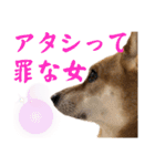 ずーきときなちゃんの声（個別スタンプ：19）