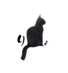 猫のOK（個別スタンプ：2）