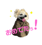 もふもふマリンちゃん4（個別スタンプ：5）