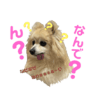 もふもふマリンちゃん4（個別スタンプ：14）
