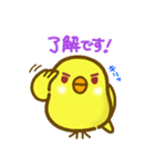 毎日◎まるまる黄色インコさん（個別スタンプ：2）