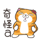 ランラン猫 41 (台湾版)（個別スタンプ：1）