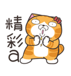 ランラン猫 41 (台湾版)（個別スタンプ：17）