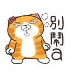 ランラン猫 41 (台湾版)（個別スタンプ：21）