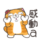 ランラン猫 41 (台湾版)（個別スタンプ：23）
