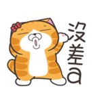 ランラン猫 41 (台湾版)（個別スタンプ：29）