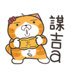 ランラン猫 41 (台湾版)（個別スタンプ：32）