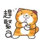 ランラン猫 41 (台湾版)（個別スタンプ：36）