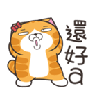 ランラン猫 41 (台湾版)（個別スタンプ：37）