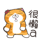 ランラン猫 41 (台湾版)（個別スタンプ：40）