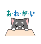 うちのねこ ときどき人間（個別スタンプ：22）