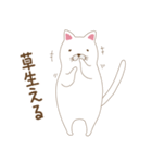 しろねこさん日常会話スタンプ2（個別スタンプ：3）