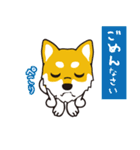 柴犬と一緒に 修正版（個別スタンプ：3）