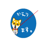 柴犬と一緒に 修正版（個別スタンプ：13）