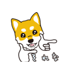 柴犬と一緒に 修正版（個別スタンプ：35）