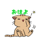 茶トラ猫ぼたもち（個別スタンプ：1）