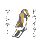 髭心その2（個別スタンプ：7）