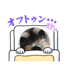 犬でザマス〜（個別スタンプ：14）