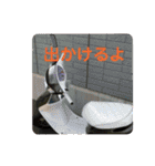 友達とのいつもの会話（個別スタンプ：24）