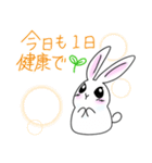 ステキな1日を願うウサギさん（個別スタンプ：1）